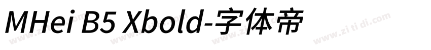 MHei B5 Xbold字体转换